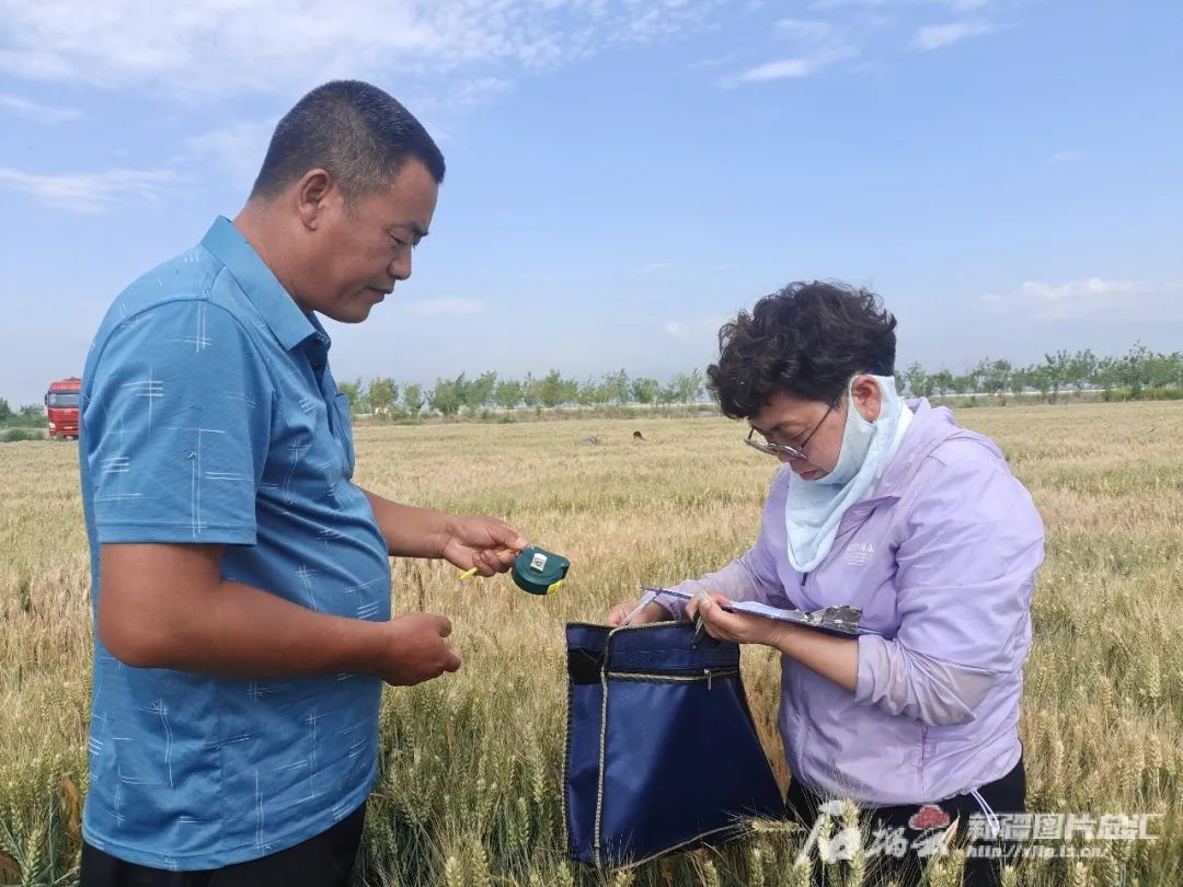 1737000593230200.jpg 微信图片_20250116120934.jpg